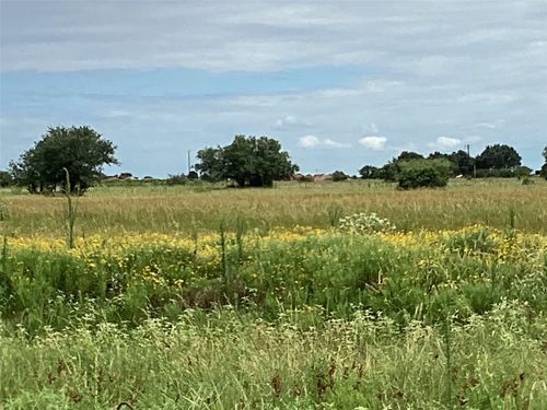Lot 88 Gadwall Ln, Columbus, TX, 78934-2379 | Card Image