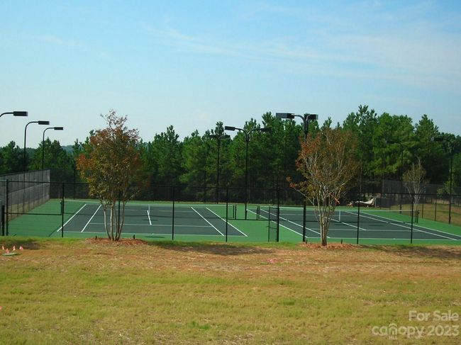 Community Tennis courts | Image 43
