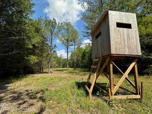 5 Forest Service Road 562, Pulaski, MS, 39152 | Card Image
