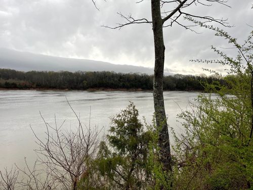 70 Cravens Dr, Savannah, TN, 38372-2080 | Card Image