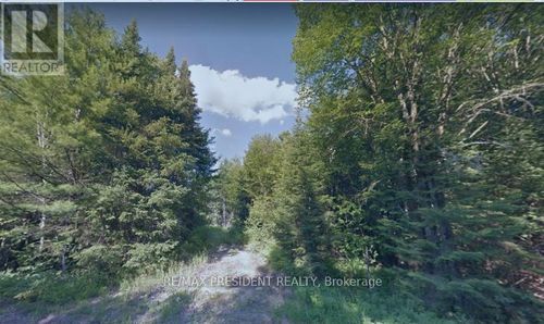 340 Stephenson 2 Rd W, Utterson, ON, P0B1M0 | Card Image