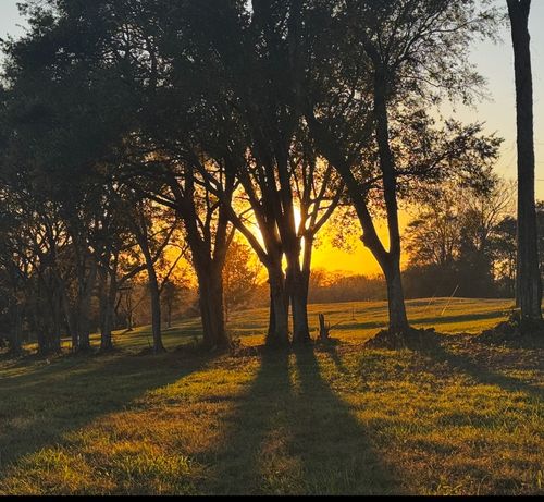 7924 Nolensville Rd, Arrington, TN, 37014-9145 | Card Image