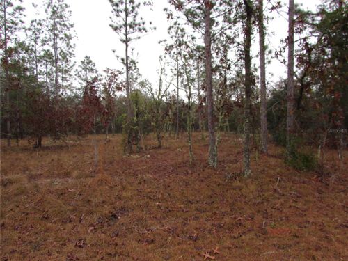 Lot 57 Se 131 Terrace, DUNNELLON, FL, 34431 | Card Image