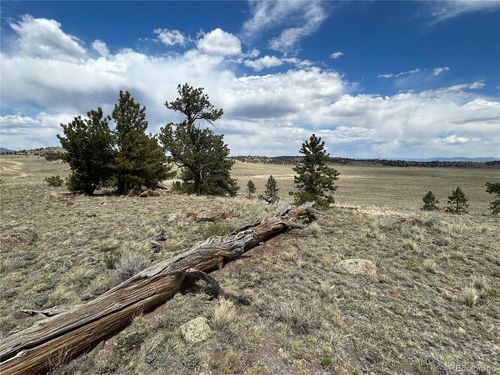 591 Singletree Ct, Hartsel, CO, 80449-8561 | Card Image