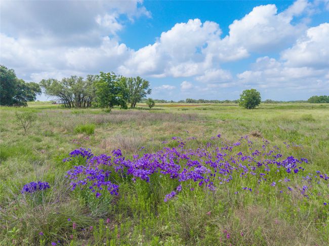 View of yard featuring a rural view | Image 30