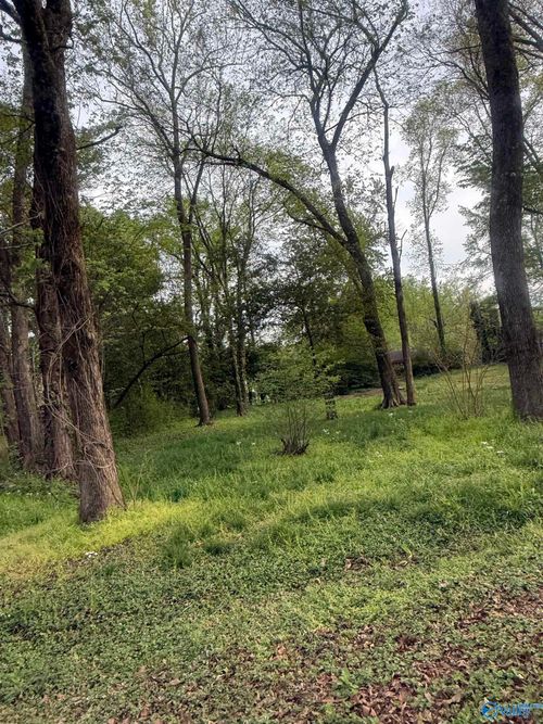 .31 10th Ave Ne, Arab, AL, 35016-1041 | Card Image