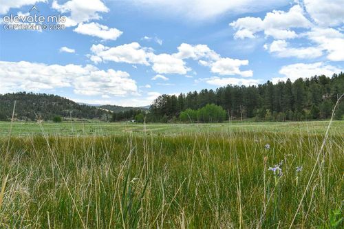 729 Valley Dr, Guffey, CO, 80820 | Card Image