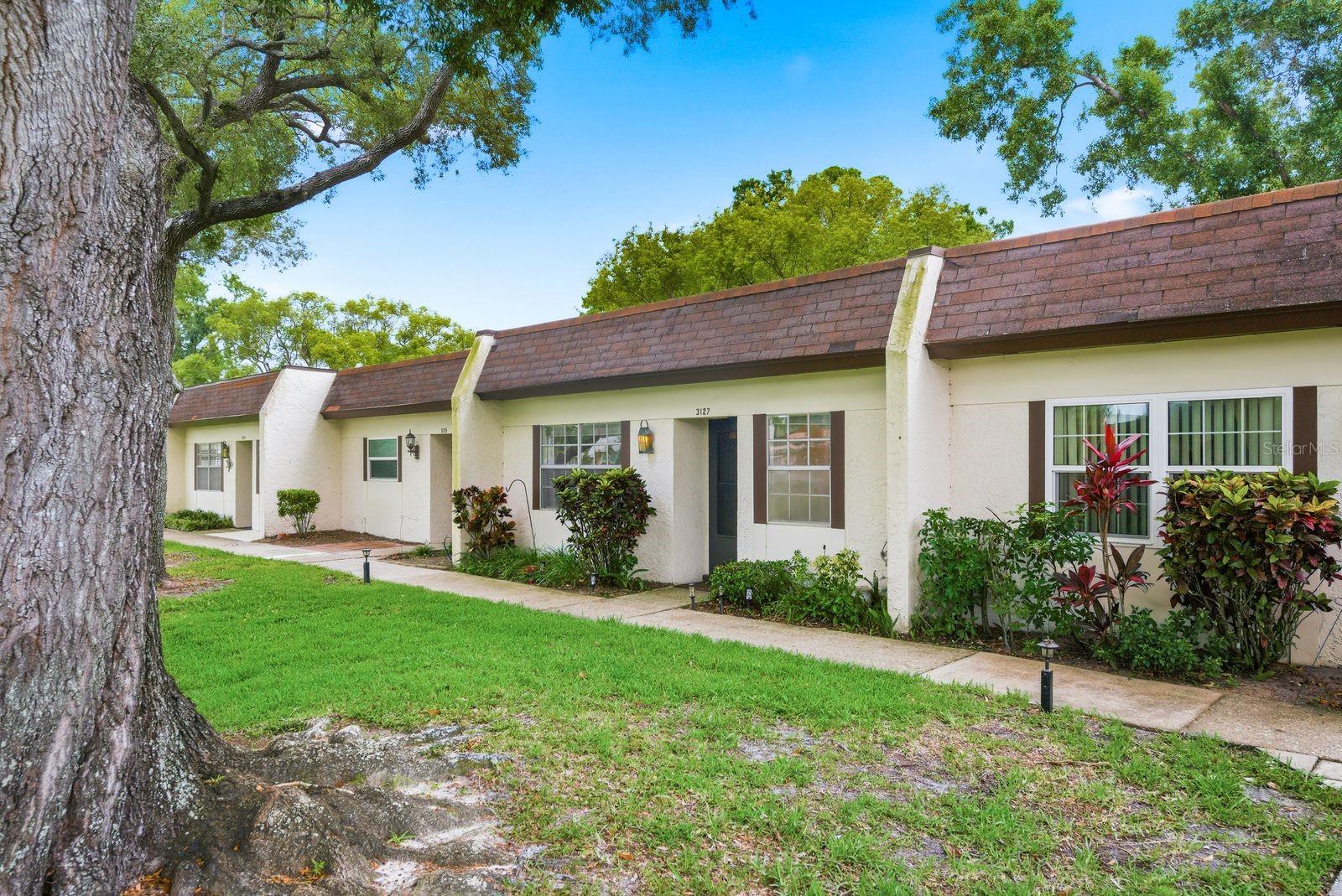 Residential in PALM HARBOR 5