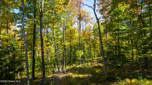 L30 Blue Factory Hill Rd, Cropseyville, NY, 12052 | Card Image