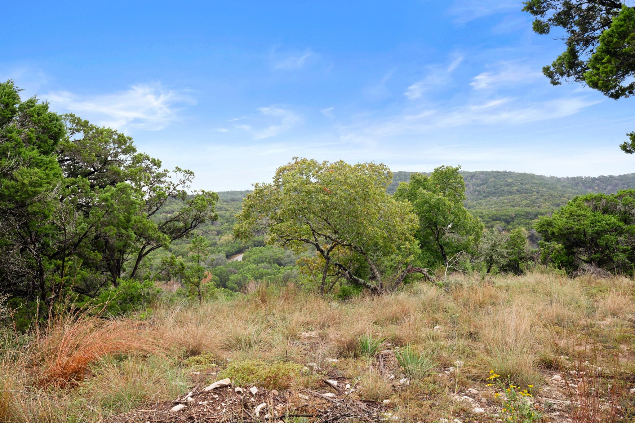 Land in Jonestown 2