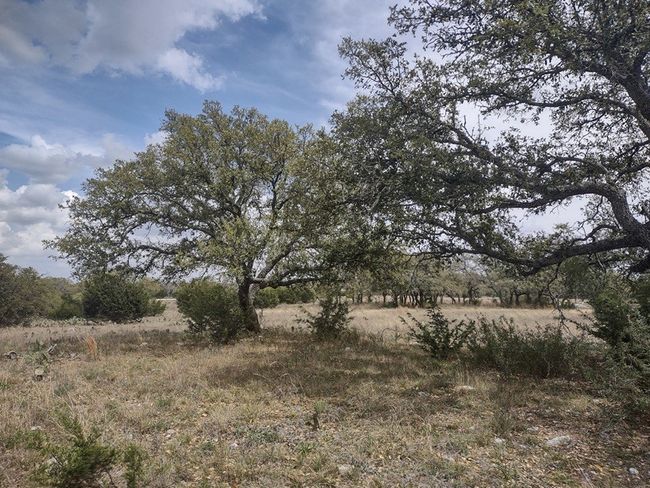 View of local wilderness | Image 6