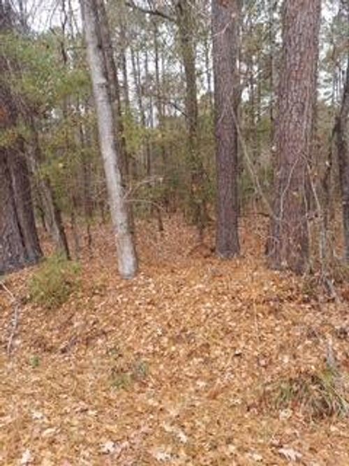 Lot 205 Prices Bridge Ln, Walterboro, SC, 29488-6982 | Card Image
