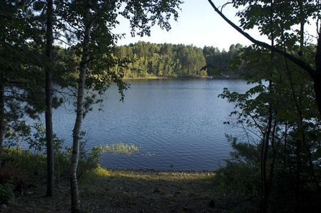 Wynne Lake | Image 12