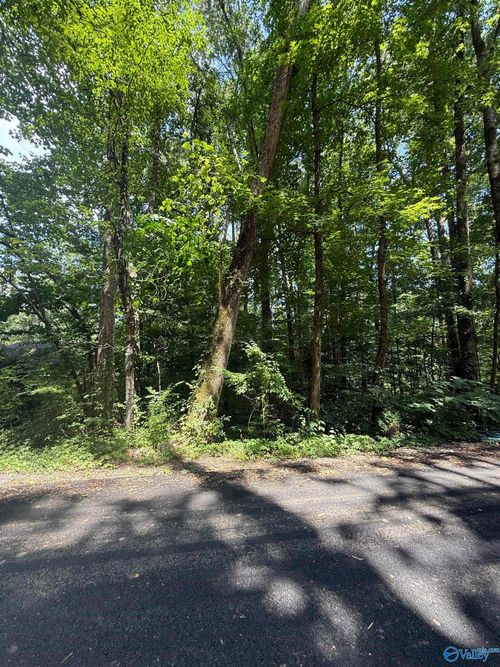 LOT 3 Kristi Ln, Grant, AL, 35747-8921 | Card Image