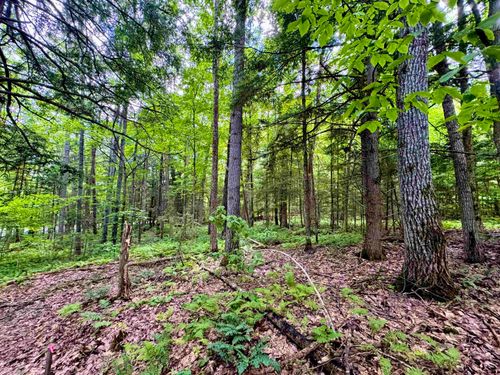 0 Tyler Farm Rd, Newbury, VT, 05051 | Card Image