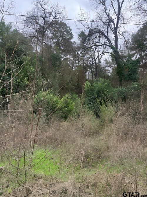 22781 Dogwood Trl, Flint, TX, 75762 | Card Image