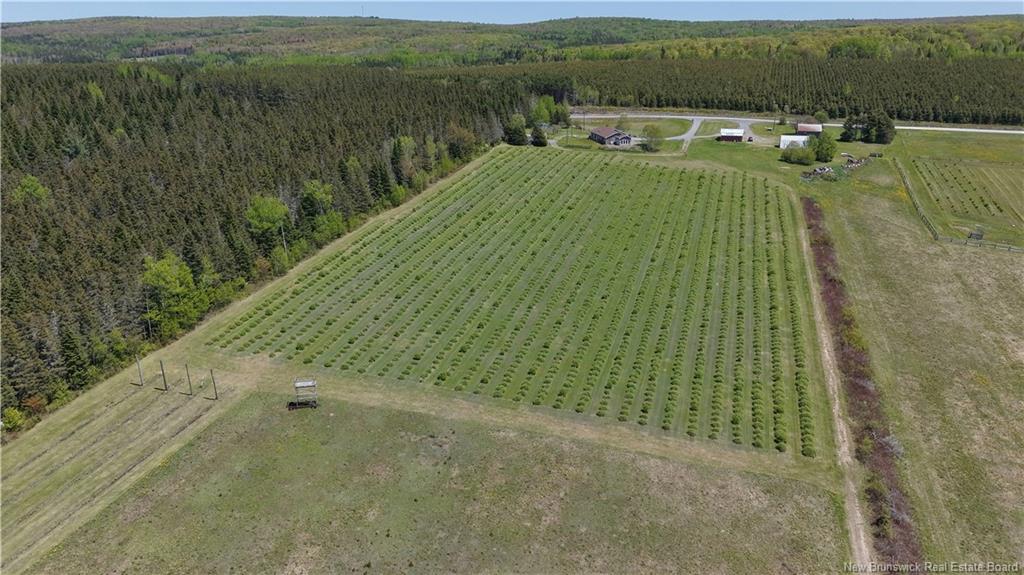 Land in Saint-Quentin 5
