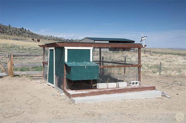 Chicken Coup | Image 30