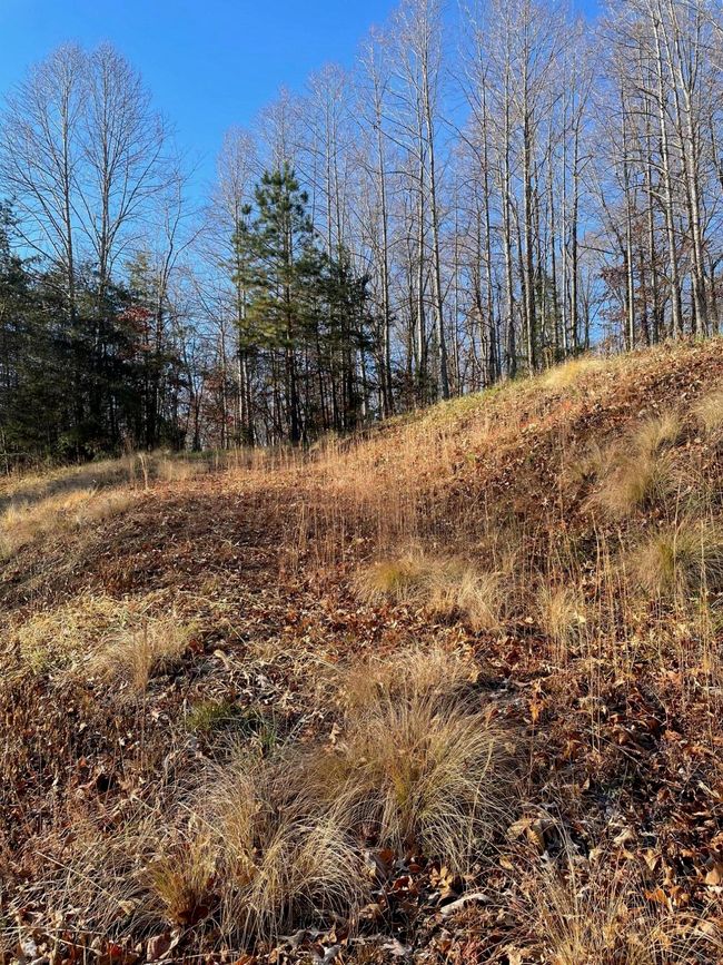 5 | Image 5