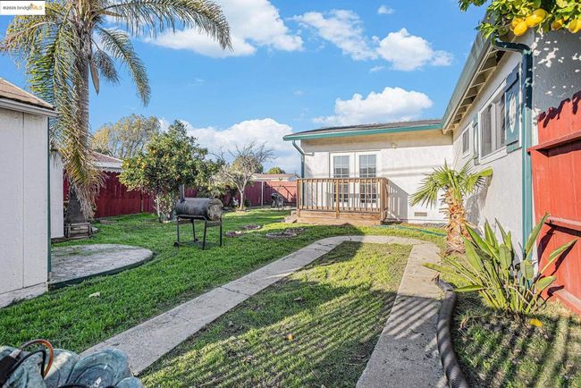 Rear Yard | Image 16