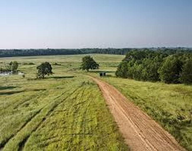 Bird's eye view featuring a rural view | Image 19