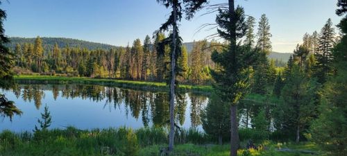 281 Daisy Ln, Seeley Lake, MT, 59868 | Card Image