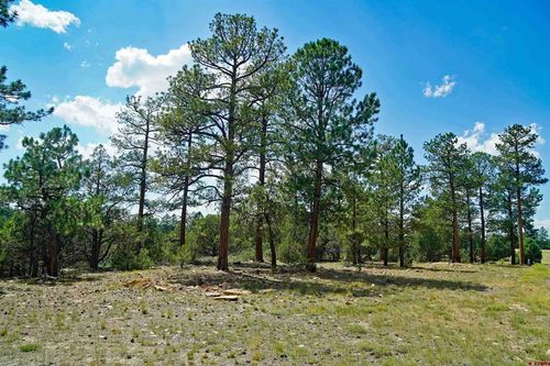TBD Hummingbird Trail, Ridgway, CO, 81432 | Card Image