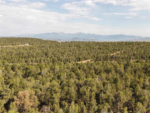 TBD County Road 310, Ignacio, CO, 81137 | Card Image