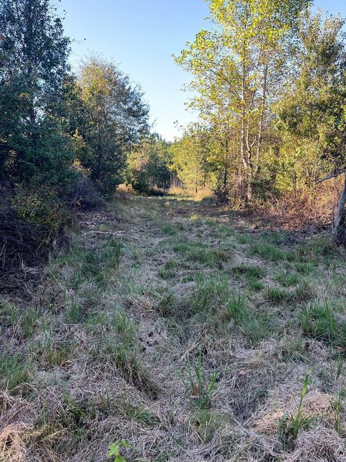 ppf-12-Ppf 12 Payne Pond Road, Westville, SC, 29175 | Card Image