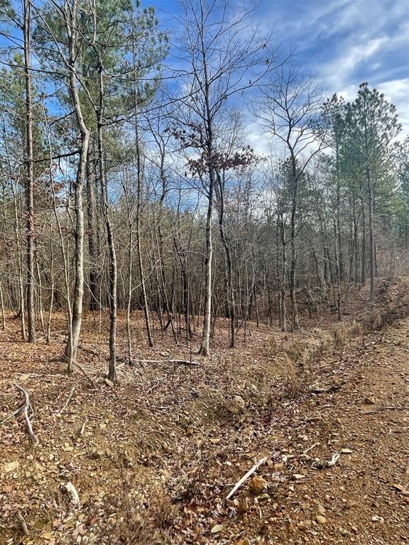 Land in Broken Bow 5