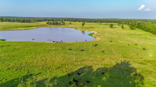 rd-9759 Texas Highway 155, Avinger, TX, 75630-3066 | Card Image
