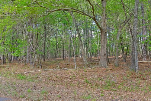 0 Ridgelake Cir, Saint Matthews, SC, 29135 | Card Image
