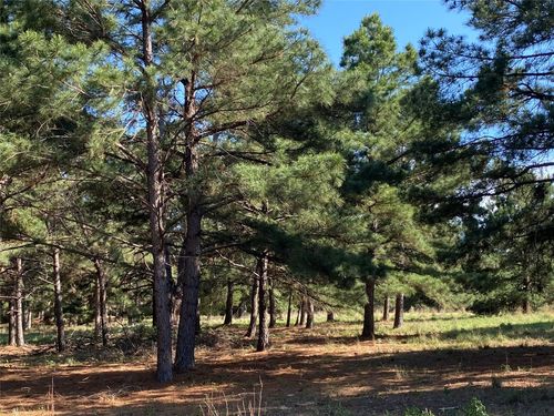 147 Oak Leaf Dr, Bastrop, TX, 78602-5618 | Card Image