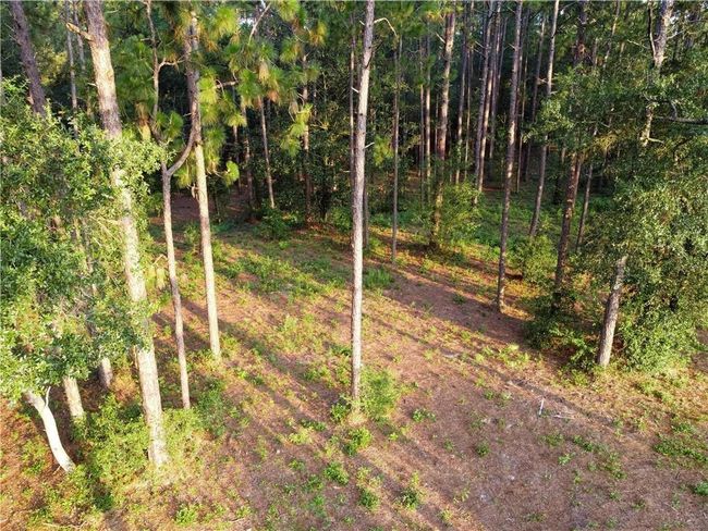 0 Leroy Stevens Rd, Home with 0 bedrooms, 0 bathrooms and null parking in Mobile AL | Image 5