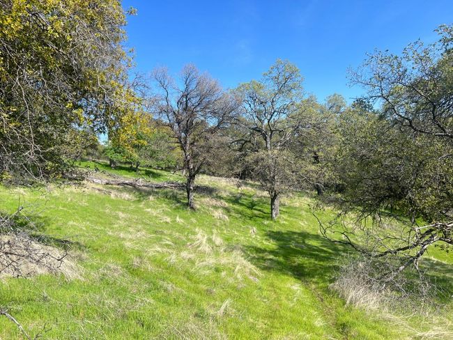 18907 Shake Ridge Rd, Home with 0 bedrooms, 0 bathrooms and null parking in Sutter Creek CA | Image 14