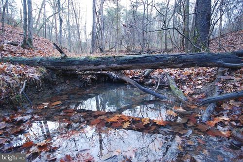 Lot 29 &amp; 30 Staubwoods Drive, Romney, WV, 26757 | Card Image