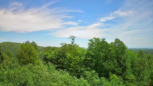 0 Briley Rd, Spring City, TN, 37381 | Card Image