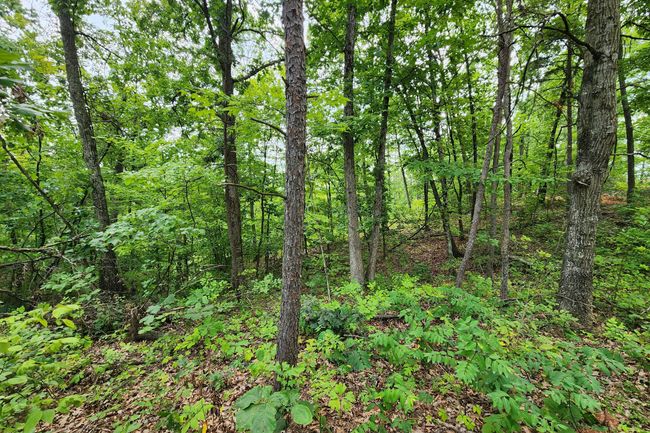 TRACT-3 - 0 Back Run Rd, Home with 0 bedrooms, 0 bathrooms and null parking in Philo OH | Image 27