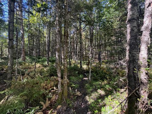 10 Hampshire Hill Rd, Worcester, VT, 05682-9754 | Card Image