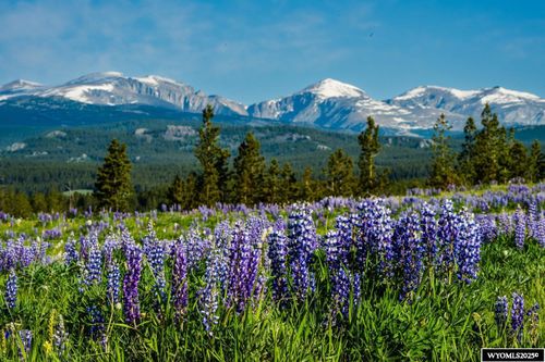 Muddy Guard Muddy Guard, Buffalo, WY, 82834 | Card Image