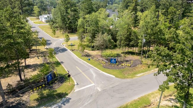812 Elms Spinney Ln, Home with 0 bedrooms, 0 bathrooms and null parking in Chapin SC | Image 34