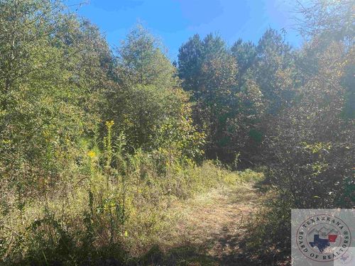 0 Cr 3301, Dekalb, TX, 75559 | Card Image