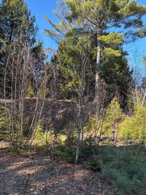 6 Bog Brook Loop, West Paris, ME, 04289 | Card Image