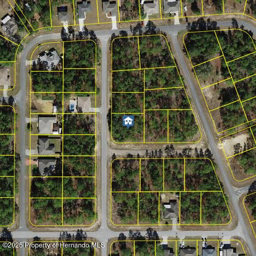 647 W Tulip Ln, Citrus Springs, FL, 34434 | Card Image
