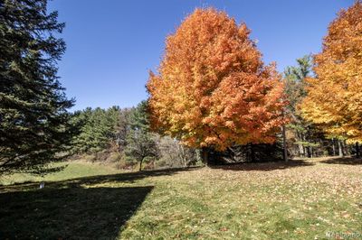 3137 W Newark Road, Home with 3 bedrooms, 2 bathrooms and null parking in Elba Twp MI | Image 3