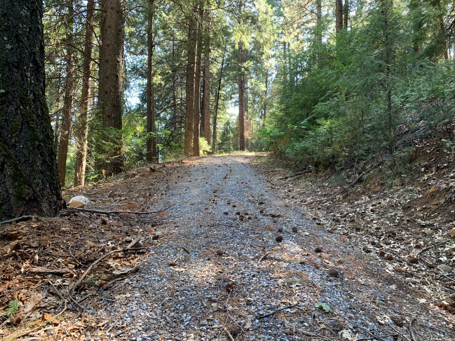 Land in Pollock Pines 3
