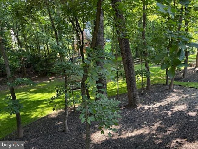 11400 Towering Oak Way, House other with 7 bedrooms, 5 bathrooms and null parking in RESTON VA | Image 50