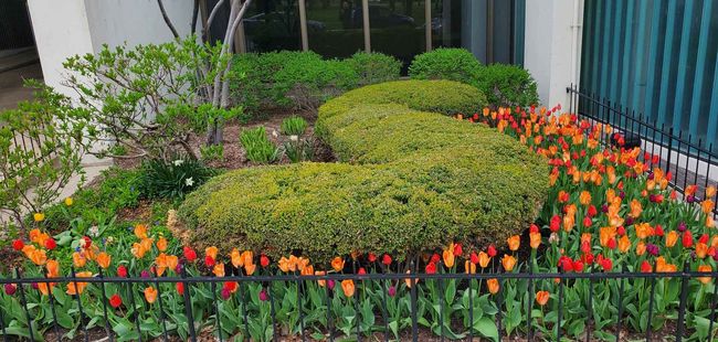 Always beautifully maintained | Image 59