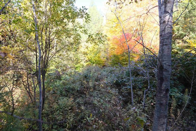 0 Ellison Loop, Home with 0 bedrooms, 0 bathrooms and null parking in Ludlow VT | Image 6