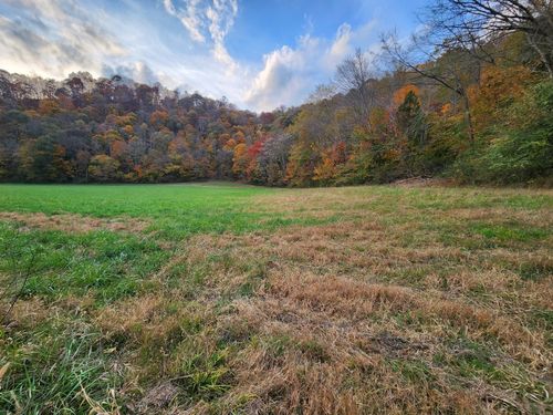 0 Pine Lick Rd, Whitleyville, TN, 38588 | Card Image